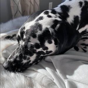 Meet your Posher, Stacey